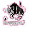 https://img.tzhybeijing.com/img/football/team/97c3ef30cac48cadff97605e387feefa.png